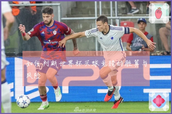如何判断世界杯买球竞猜的胜算与风险