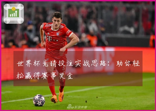 世界杯竞猜投注实战思路：助你轻松赢得赛事奖金