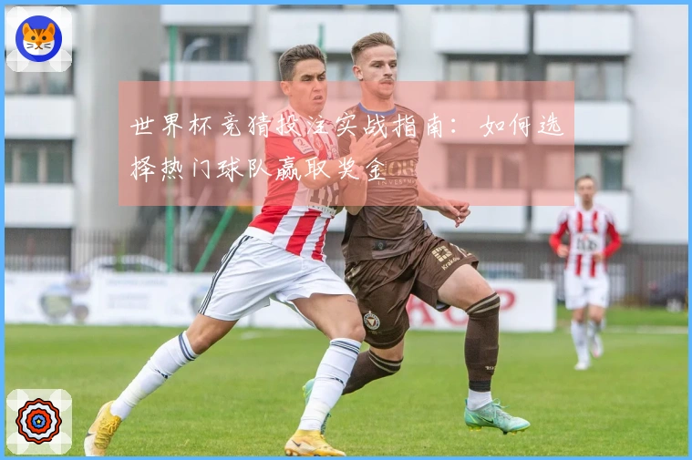 世界杯竞猜投注实战指南：如何选择热门球队赢取奖金