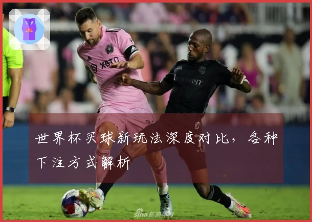 世界杯买球新玩法深度对比，各种下注方式解析