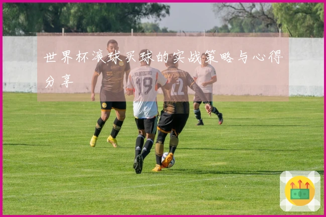 世界杯滚球买球的实战策略与心得分享