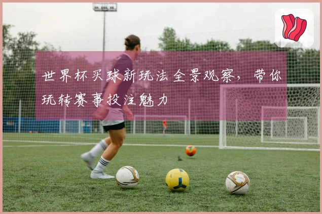 世界杯买球新玩法全景观察，带你玩转赛事投注魅力