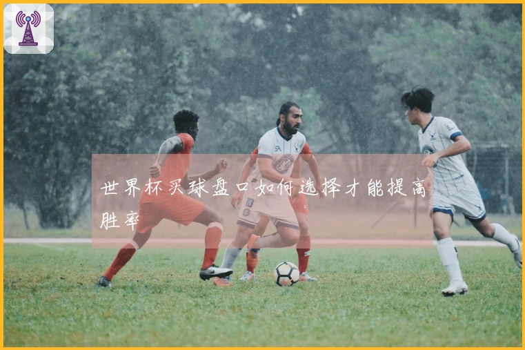 世界杯买球盘口如何选择才能提高胜率