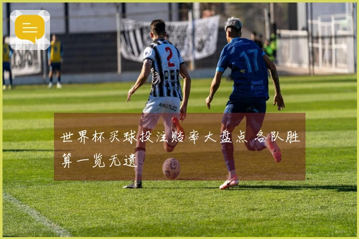 世界杯买球投注赔率大盘点 各队胜算一览无遗