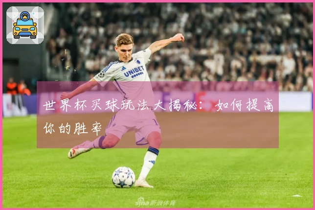 世界杯买球玩法大揭秘：如何提高你的胜率