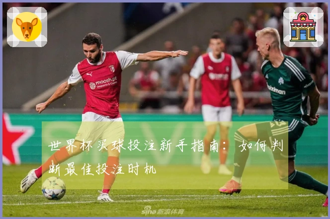 世界杯买球投注新手指南：如何判断最佳投注时机